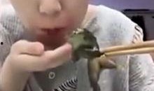 女主播吃角瓜视频大全,趣味视频大盘点