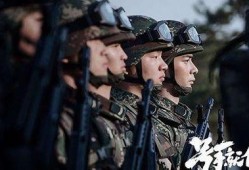 瓜地吃瓜号手就位,揭秘网络热梗背后的趣味与智慧