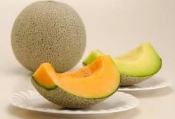 吃瓜就吃哈密瓜,吃瓜就吃哈密瓜，尽享夏日清凉