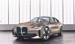 我的宝马吃瓜,揭秘豪华车界的“瓜田”趣事