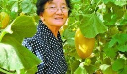 蔡哥茶壶吃瓜,吃瓜群众的趣味生活