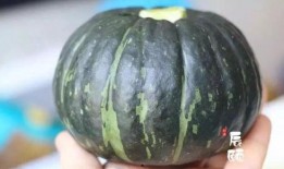 贝贝只吃瓜,一场与瓜果的奇妙邂逅