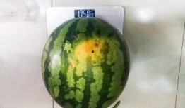 5000吃瓜,揭秘娱乐圈背后的秘密与真相