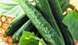 过节吃点好的吃瓜,尽享美食盛宴与吃瓜乐趣