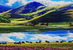 木里县吃瓜,瓜果飘香，品味田园生活