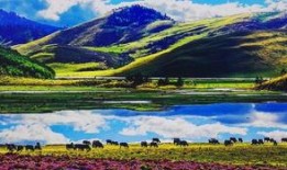 木里县吃瓜,瓜果飘香，品味田园生活