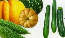 五六吃瓜网,五六吃瓜网带你领略吃瓜界的风云变幻