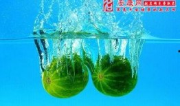 梦见放生西瓜吃瓜,放生西瓜的奇幻之旅