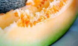 吃瓜就吃哈密瓜,吃瓜就吃哈密瓜，尽享夏日清凉